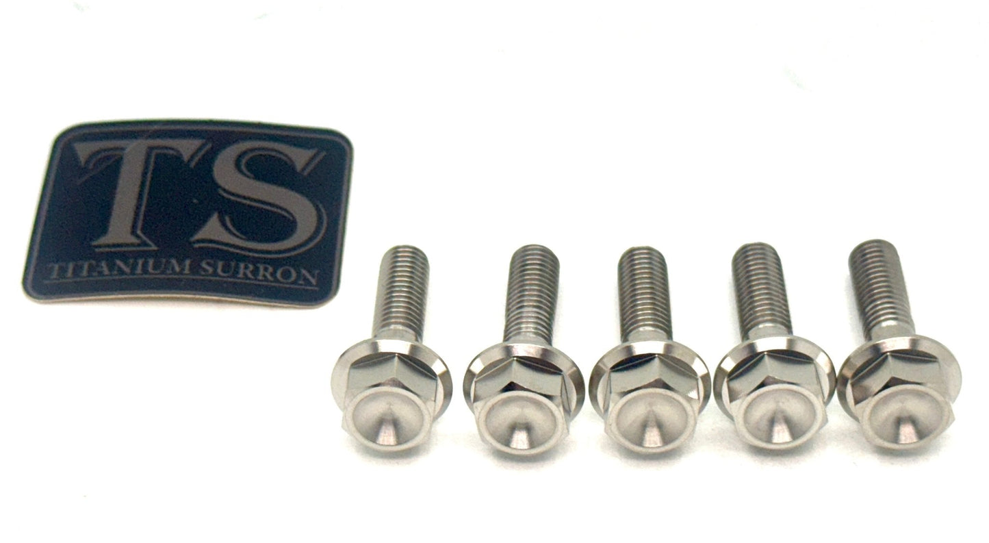 Titanium Rear Sprocket Bolts - E-Moto